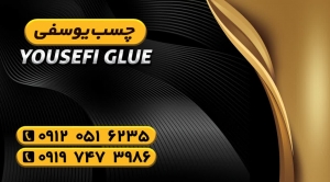 Yousefi_Glue