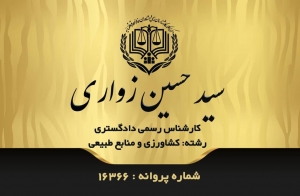 سید حسین زواری